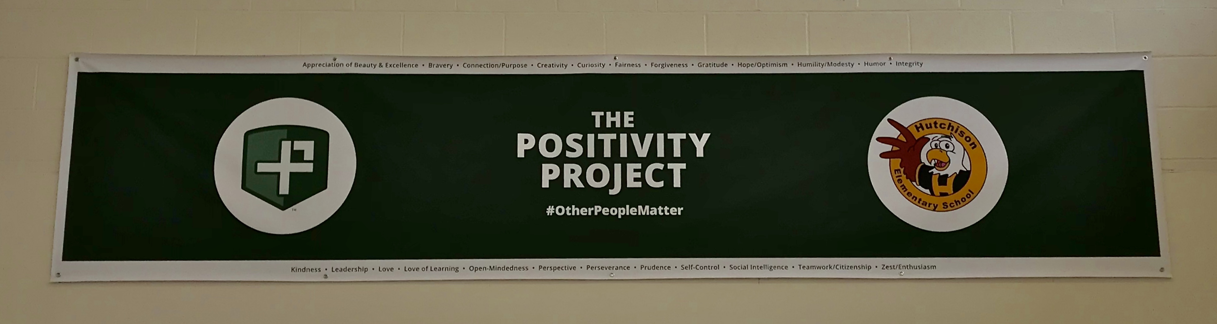 Positivity Project banner
